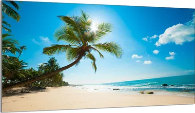 Produktbild von Herdabdeckplatte 90x52 Glaskeramikkochfeld Abdeckung Spritzschutz Glasplatte Deko Schneidebrett, Landschaft Strand