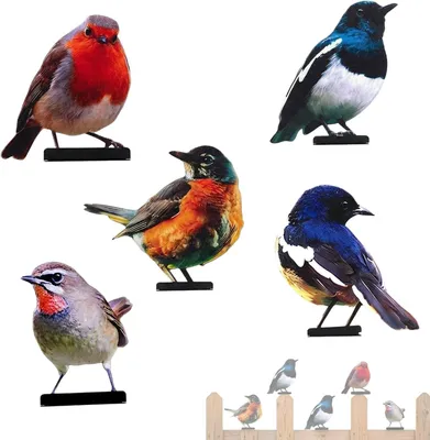 Productafbeelding van Metallvogel set van 5 stuks, in verschillende kleuren, 2D tuinornament, 15-20 cm, geschikt voor buiten