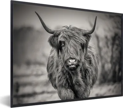 Produktbild von MuchoWow® Gerahmtes Poster Schottischer Highlander - Schwarz und Weiß 80x60 cm - Poster mit Schwarzem Bilderrahmen Wandposter Rahmen Foto Bilder - Schwarzem - Mit Gestell