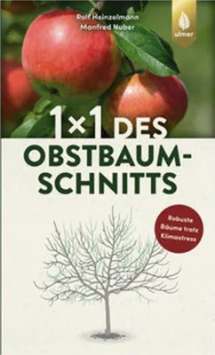 Produktbild von 1 x 1 des Obstbaumschnitts