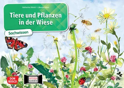 Obrázek produktu pro Tiere und Pflanzen in der Wiese. Kamishibai Bildkartenset.