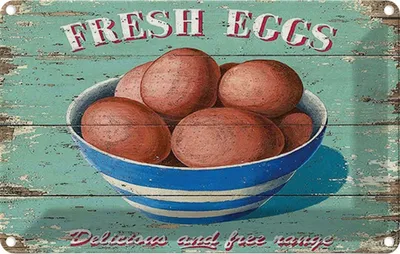 Produktbild von vianmo Blechschild 20x30 cm fresh eggs Frische Eier