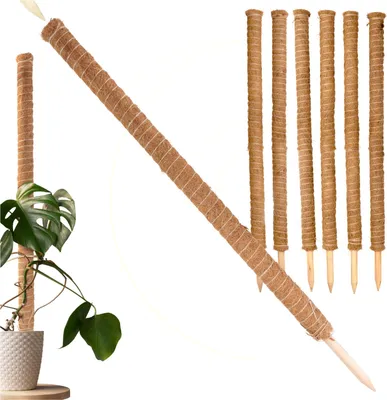 Produktbild von ​Erweiterbare Rankhilfe Kokosstab 110 cm mit Kokosfilz für Zimmerpflanzen​