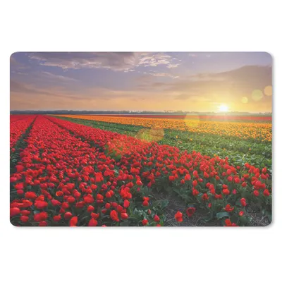 Obrázek produktu pro Podložka pod myš - Pole - Tulipány - Slunce - 60x40cm - Podložka pod myš