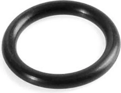 Produktbild von Karcher Scheibenwaschkopf Sicherheitsventil O-Ring (54X2.62) 9.761-104.0