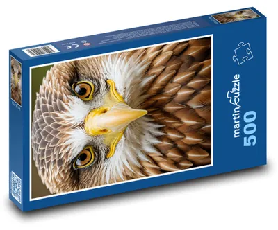Produktbild von Puzzle 500 Adler aus nächster Nähe - martinpuzzle