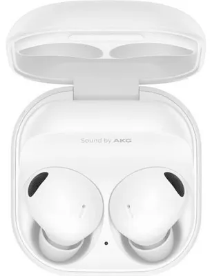 Image de Ecouteurs Samsung Galaxy Buds2 Pro Blanc