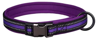 Image de Collier réfléchissant en nylon pour chiens, avec boucle de sécurité