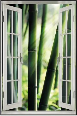 Produktbild von Wallario Wandbild mit Fenster-Illusion: Bambuswald und Sonnenstrahlen, Größe: 61 x 91,5 cm, Poster mit schwarzem Aluminiumrahmen