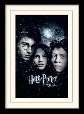 Produktbild von Pyramid International MP10685P, 1 Stück(e), Wizarding World, Rechteck