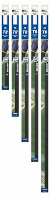 Productafbeelding van As Reptile Zone 1 Uvi 0.5/Bird T8 Lamp 2.4% UVB 30W/900MM 30W/900MM