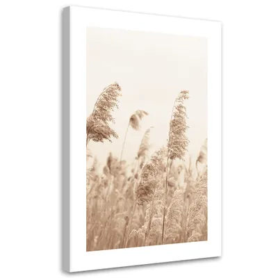 Produktbild von Leinwandbild Im Wind schwankendes Schilf 80x120 Feeby Beige bild für die wand bereit zum aufhängen