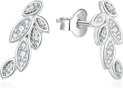 Immagine prodotto di Orecchini in argento con zirconi AGUP2298
