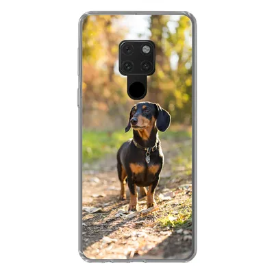 Produktbild von MuchoWow® Handyhülle Schutzhülle Hülle für Huawei P40 Lite Ein schöner Dackel im Wald Silikon Softcase Handy Hülle - Handy