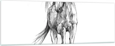 Produktbild von Bilder auf glas - Einteilig - Pferd Galopp Tier - 90x30cm - Glasbilder - Wandbilder - Bilder - zum Aufhängen bereit - Wanddekoration aus Glas - Glas Bilder - Wandbild auf Glas - GAB90x30-5080