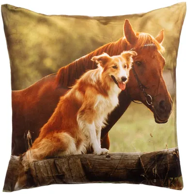 Zdjęcie produktu dla Omgoods - Dekoracyjna poduszka z motywem zwierząt, 40x40 cm