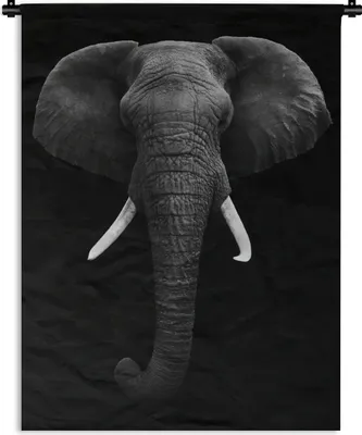 Produktbild von MuchoWow® Wandteppich Wandbehang Elefant - Wildtiere - Schwarz - Weiß - Porträt 120x160 cm Tapisserie Dekoration Wandtuch - Wohnzimmer - Moderne
