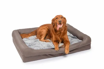 Produktbild von Hundebett orthopädisch waschbar rutschfest große Hunde Tierbett Hundekissen Hundesofa, Braun, 120x90x10cm