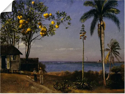 Produktbild von ARTland Poster Tropische Landschaft. Größe: 120x90 cm