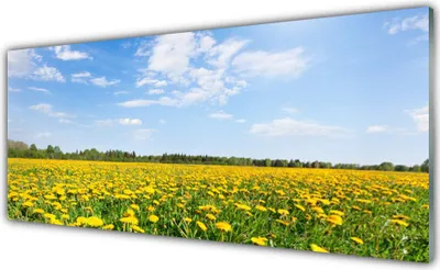 Produktbild von Glasbilder 125x50 Wandbild Druck auf Glas Löwenzahn Wiese Landschaft