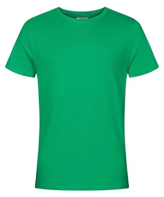 Image de Promodoro - T-shirt pour homme LT3217 (L) (vert)
