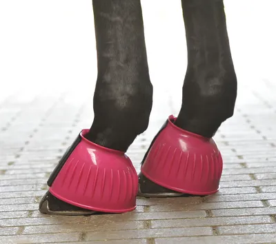 Produktbild von BUSSE Hufglocken Sturdy Klettverschluss Gummiglocken Fuchsia L