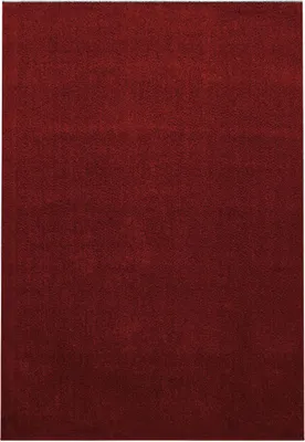 Produktbild von Kurzflor Teppich Alberto rechteckig, Farbe: Rot, Größe:120x170 cm