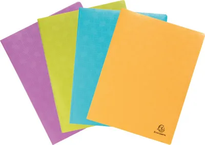 Image de Exacompta 20x Protège -documents en PP recyclé semi-rigide 40 vues assort 88920E