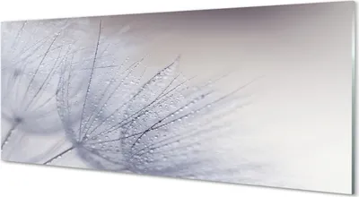 Produktbild von Glasbilder 125x50 Wandkunst Tautropfen Löwenzahn