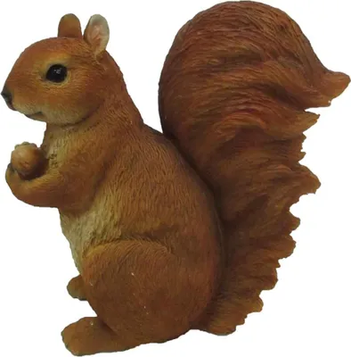 Immagine prodotto di Esschert Design Scoiattolo L Marrone in piedi 19 cm - Poliresina