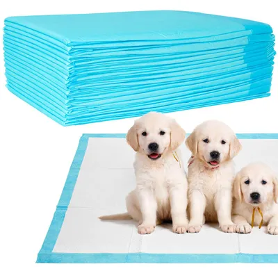 Produktbild von Trainingspads für Hunde (20 Stück): 5-lagige, extra saugfähige Welpenunterlagen, auslaufsicher, 60x60 cm - saugstark u. hygienisch