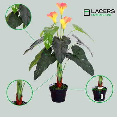 Produktbild von Lacers SMARAGDLINE künstliche Calla gelb/orange 85cm - Dekorative Kunstpflanze im Topf - wie echt wirkende Blätter & Blüten für ihr Zuhause & Büro