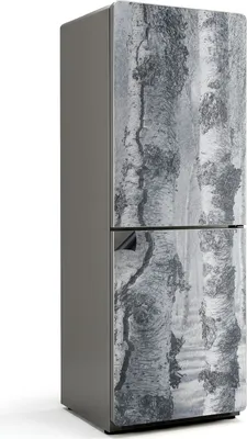 Produktbild von Nebliger Birkenwald – Magnetische Kühlschrank Abdeckung – Dekorfolie magnetisch Küche – Kühlschrank Magnet Deko – selbstklebende Magnettafel – Magnetfolie für Kühlschranktür – 70x190 cm