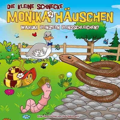 Produktbild von 68: Warum blinzeln Blindschleichen?