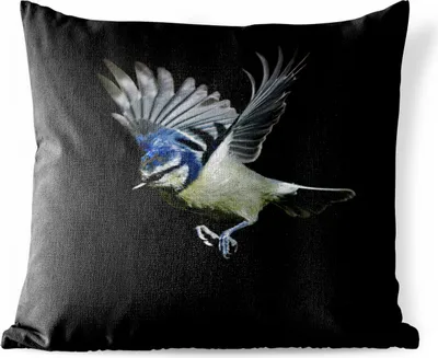 Produktbild von MuchoWow® Outdoor Kissen - Blaumeise - Vogel - Schwarz - 50x50 cm - Wetterfest - Lounge Kissen - Komfortabel - Kissen mit Bild