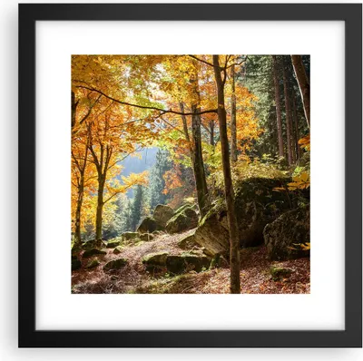 Produktbild von Gerahmtes Poster - Schwarzer Rahmen - Herbst berg wald natur - 30x30 cm - Wand Bild - Wanddeko - Wandbilder - Kunstposter - Wandposter - Bilderrahmen - Bilder - Kunstdruck - Wandbild - P2BAC30x30-2713