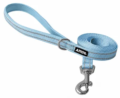 Image de Laisse réfléchissante pour chien, 1,5 mètre, rembourrée, réglable, bleue