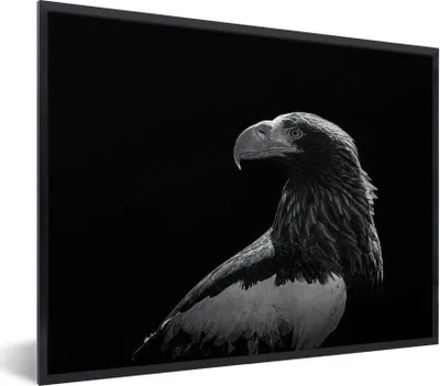 Produktbild von MuchoWow® MuchoWow® Gerahmtes Poster Adler - Nahaufnahme - Schnabel 80x60 cm - Poster mit zchwarzem Bilderrahmen - Schwarzem - Mit Gestell