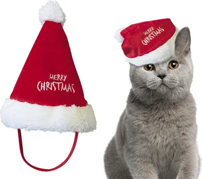 Produktbild von Nobby Plüsch-Weihnachtsmütze für Haustiere, rot, 18 cm hoch, Einheitsgröße, mit Bommel