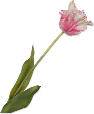 Produktbild von Kunstblume von Silk-ka – Seidenblumen-Tulpenstiel, rosa-weiß, 71 cm