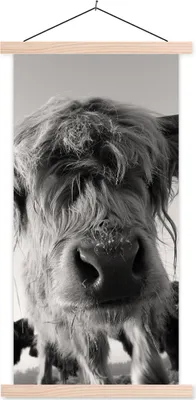 Produktbild von MuchoWow® Textilposter Schottisches Hochlandrind - Schwarz - Weiß - Tiere 60x120 cm mit holzfarbenen Rahmen - Holz