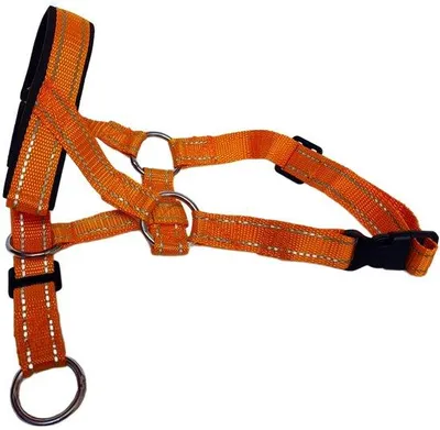Obrázok produktu pre Obojok XL Orangesafe pre psov – výcvikový, uzemňovací – obojok proti ťahaniu