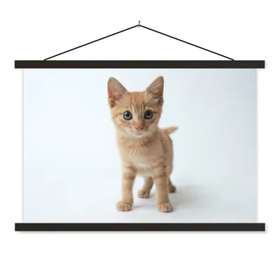 Produktbild von MuchoWow® Textilposter Katze - Rot - Kätzchen - Mädchen - Kinder - Kinder - Kind 60x40 cm mit schwarzem Rahmen - Hölzernes