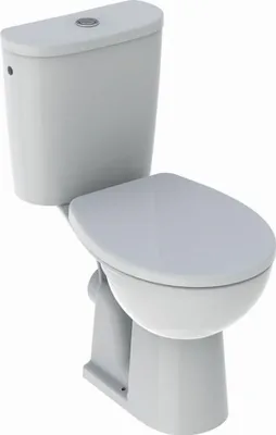 Produktbild von Bodenkombi-WC mit Muldenboden Bastia Rimfree GEBERIT - 501.689.00.1