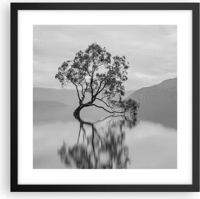 Produktbild von Gerahmtes Poster - Schwarzer Rahmen - Baum Symmetrie See - 40x40 cm - Wand Bild - Wanddeko - Wandbilder - Kunstposter - Wandposter - Bilderrahmen - Bilder - Kunstdruck - P2BAC40x40-4514