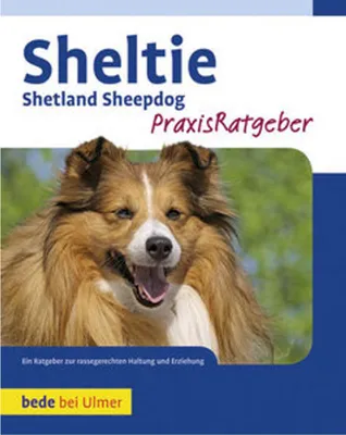 Produktbild von Sheltie