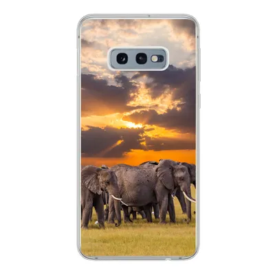 Produktbild von MuchoWow® Handyhülle Schutzhülle Hülle für Samsung Galaxy S10e Elefant - Tiere - Gras - Sonnenuntergang - Natur Silikon Softcase Handy Hülle - Handy