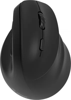 Image de YENKEE Ergonomic right-handed wireless mouse, Dual WL+BT
