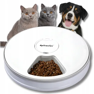 An automatic pet feeder with two cats and a dog looking at it.
