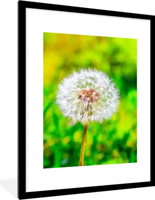 Produktbild von MuchoWow® Gerahmtes Poster Löwenzahn - Gras - Blume 60x80 cm - Poster mit Schwarzem Bilderrahmen Wandposter Rahmen Foto Bilder - Wohnzimmer - Dekorationen - Prämie